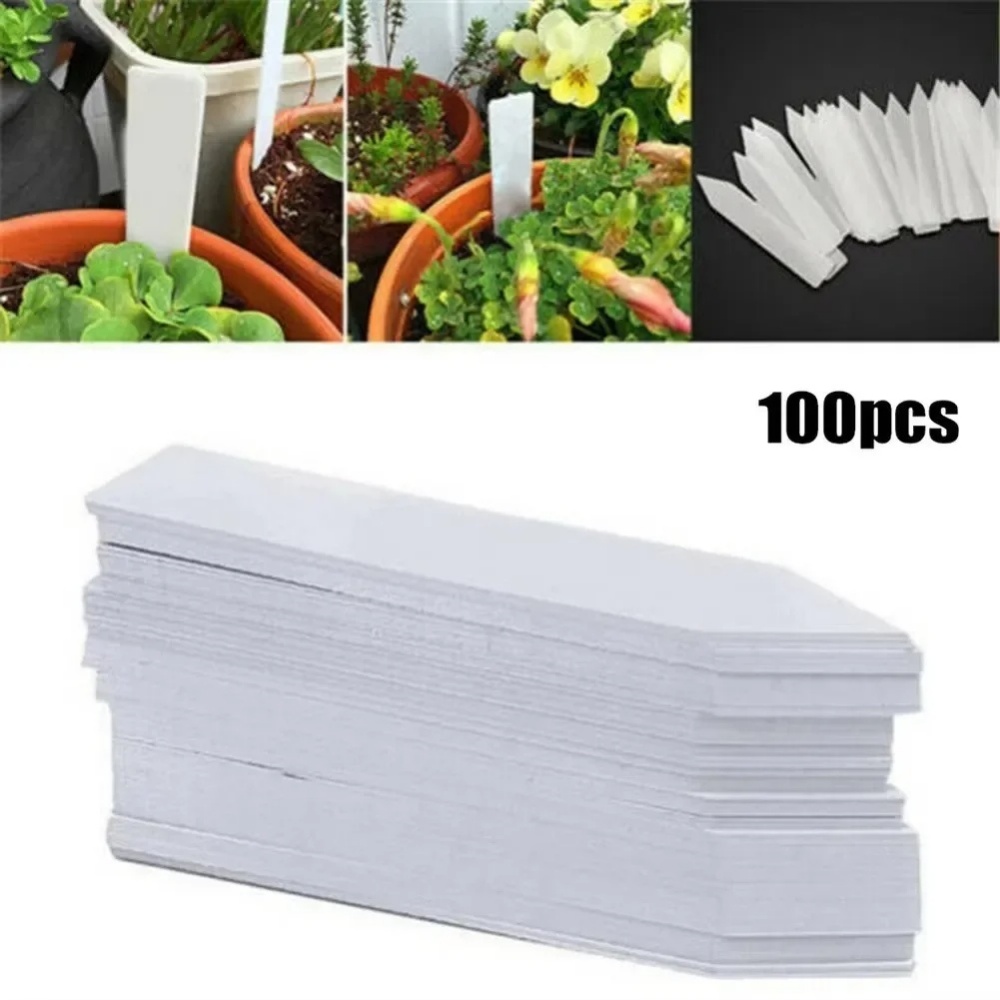 100Pcs 식물 라벨 식물 액세서리 꽃 냄비 플라스틱 - Embroidery Writing 리뷰 및 가격