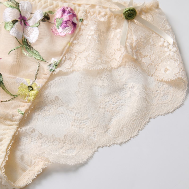 레이스 시스루 여성 섹시 란제리 로우 웨이스트 꽃 자수 - Embroidery Knit 리뷰 및 가격