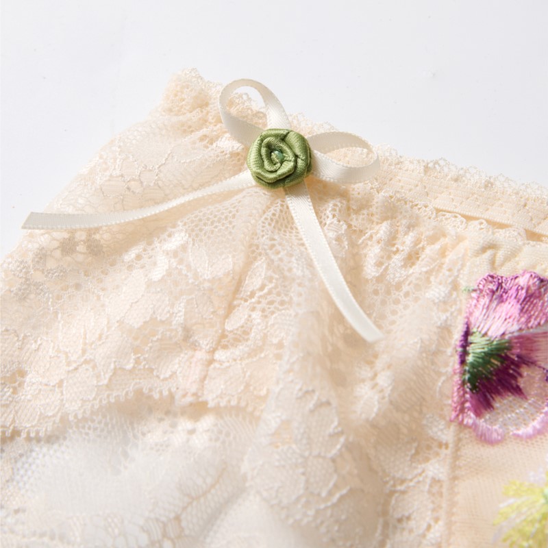 레이스 시스루 여성 섹시 란제리 로우 웨이스트 꽃 자수 - Embroidery Knit 리뷰 및 가격