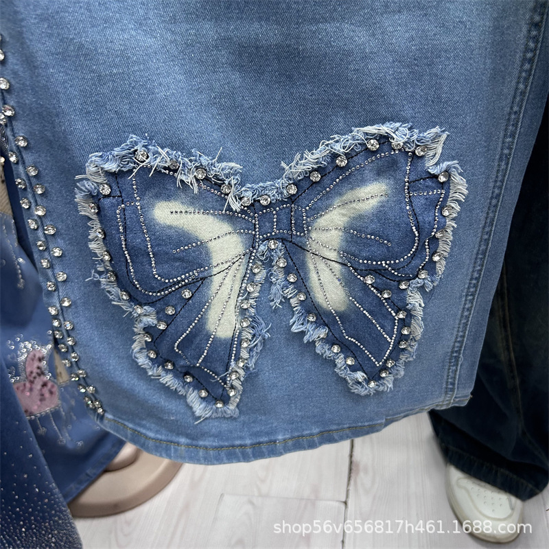 새로운 봄 여름 루즈핏 여성 투피스 세트 자수 나비 화 - Embroidery On Jeans 리뷰 및 가격